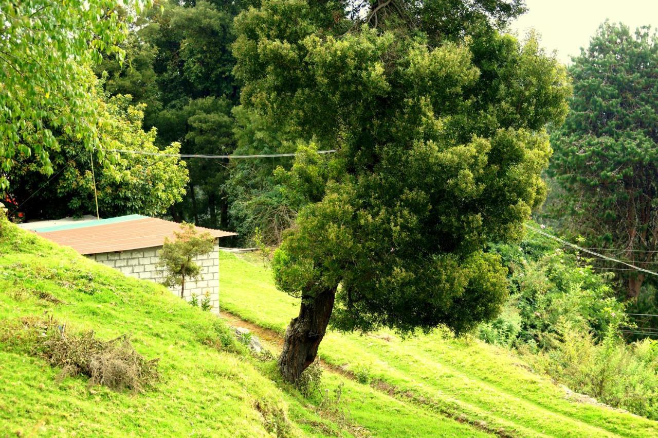 Maruti Villa Tamilnadu - Tamilnadu - Kodaikanal Exterior foto