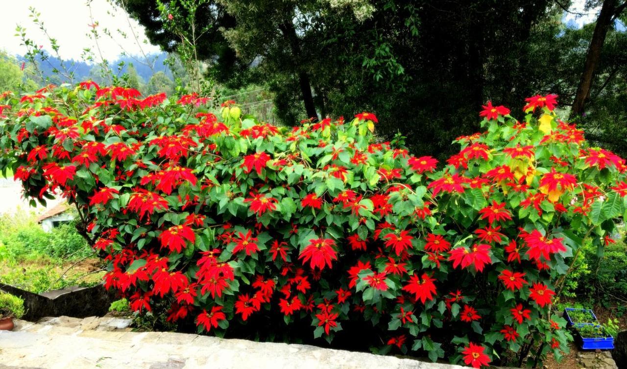 Maruti Villa Tamilnadu - Tamilnadu - Kodaikanal Exterior foto